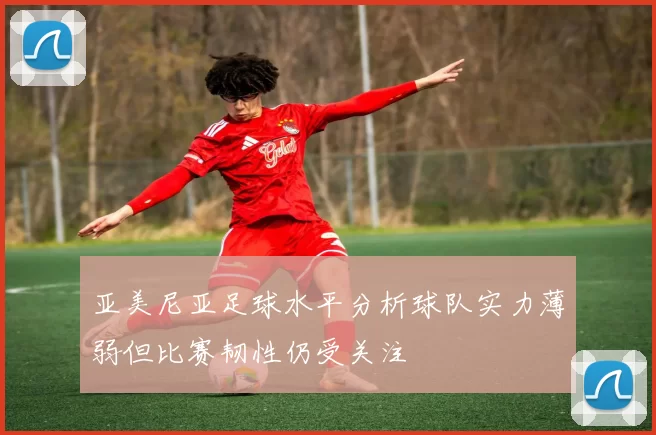 亚美尼亚足球水平分析球队实力薄弱但比赛韧性仍受关注