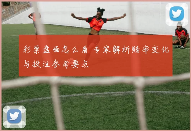 彩票盘面怎么看 专家解析赔率变化与投注参考要点