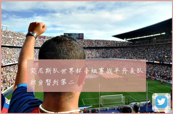 突尼斯队世界杯小组赛战平丹麦队积分暂列第二