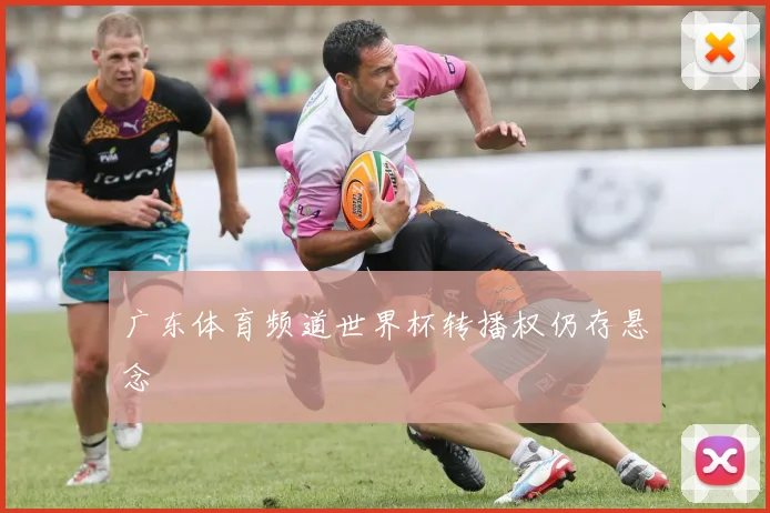 广东体育频道世界杯转播权仍存悬念