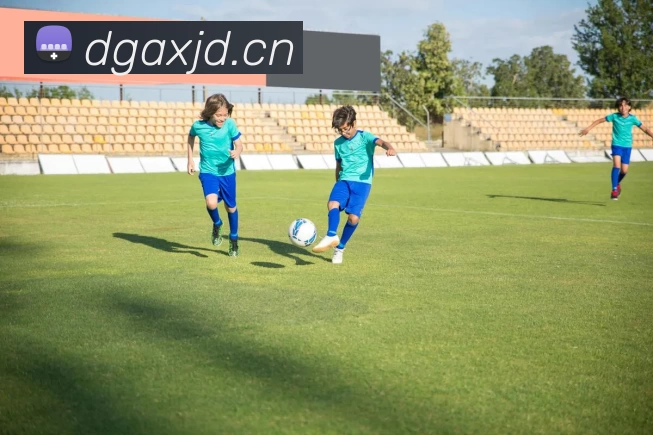 App Interface Preview